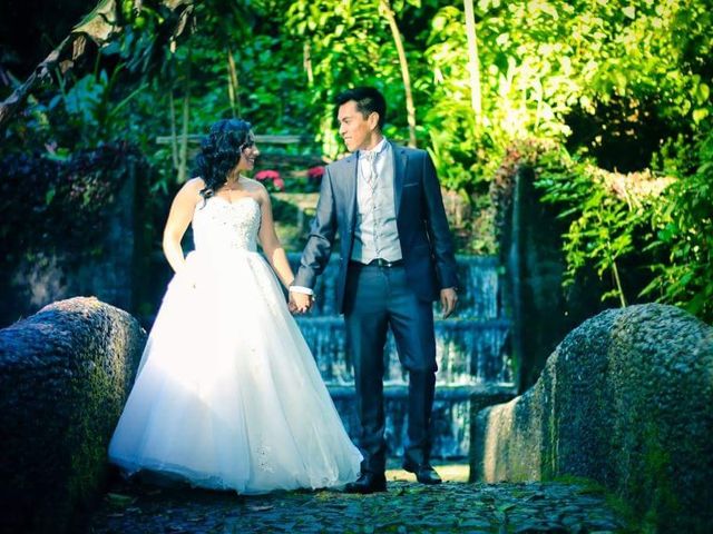 La boda de Santiago y Marina en Uruapan, Michoacán 14