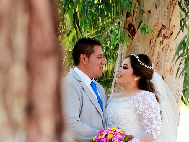 La boda de Assael y Dannya en Mexicali, Baja California 20