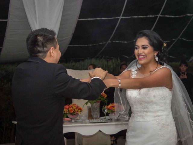 La boda de Alejandro y Erika en Milpa Alta, Ciudad de México 35