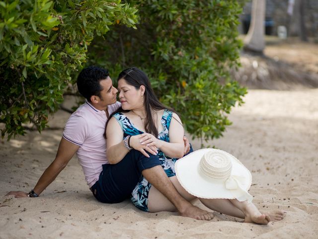 La boda de Luisa y Rigoberto en Ixtapa Zihuatanejo, Guerrero 16