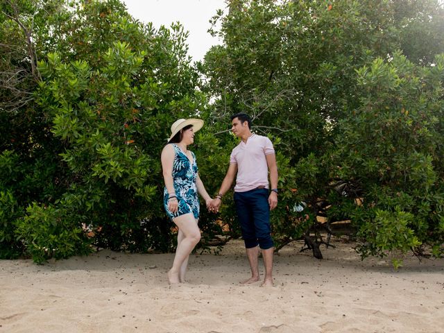 La boda de Luisa y Rigoberto en Ixtapa Zihuatanejo, Guerrero 17