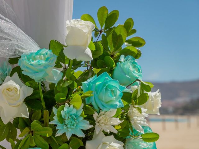 La boda de Tabatha y Camelia en Los Cabos, Baja California Sur 5