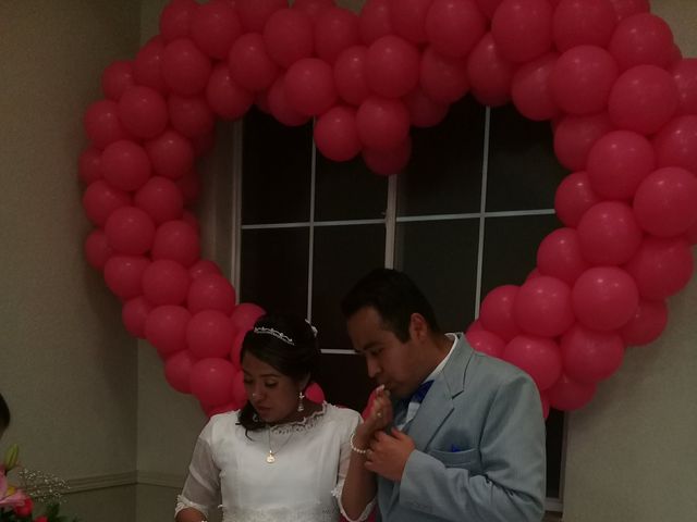 La boda de Alejandro y Lili en Gustavo A. Madero, Ciudad de México 36