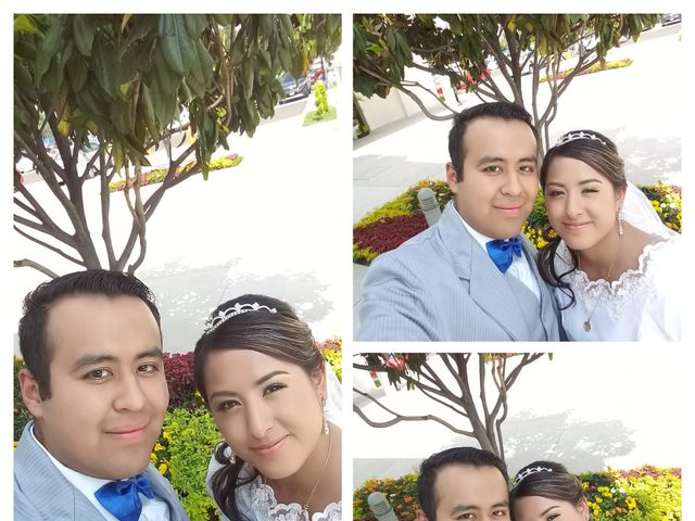 La boda de Alejandro y Lili en Gustavo A. Madero, Ciudad de México 41