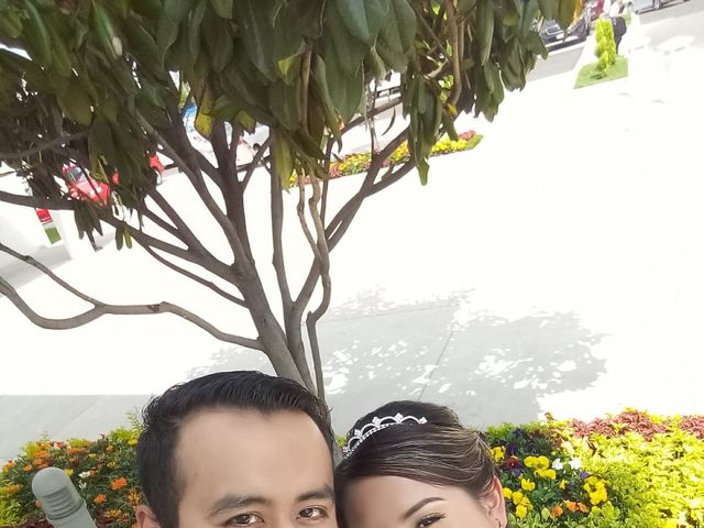 La boda de Alejandro y Lili en Gustavo A. Madero, Ciudad de México 43