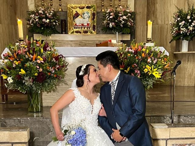 La boda de Alan y Liliana  en Azcapotzalco, Ciudad de México 1