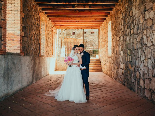 La boda de Carlos y Renata en Omitlán de Juárez, Hidalgo 24