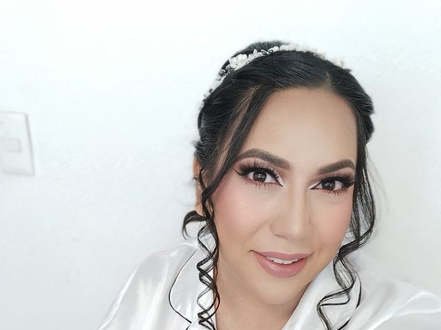La boda de Marco y Sofía en Tonalá, Jalisco 3
