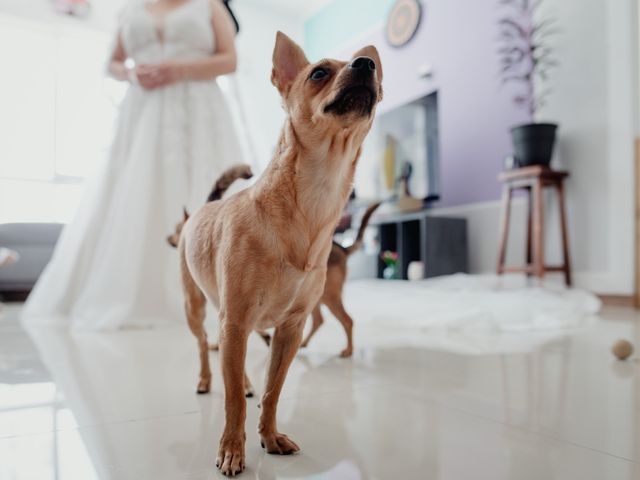 La boda de Víctor y Teresa en Guadalajara, Jalisco 3