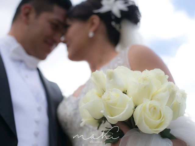 La boda de Areli  y Ivan  en Texcoco, Estado México 4