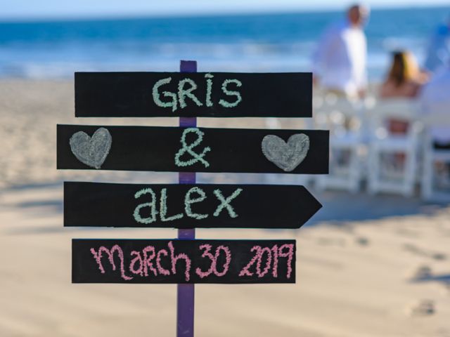 La boda de Álex y Gris en Bahía de Banderas, Nayarit 9