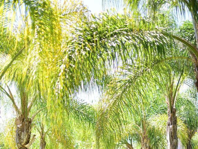 La boda de Zaira y Beto en Atlixco, Puebla 15