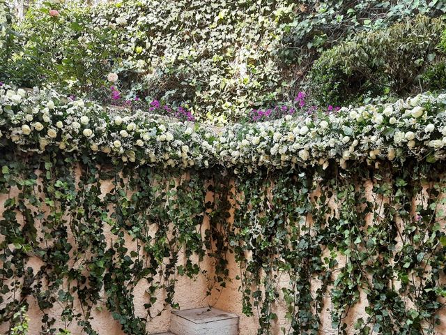 La boda de Alejandro y Mariana  en Álvaro Obregón, Ciudad de México 7