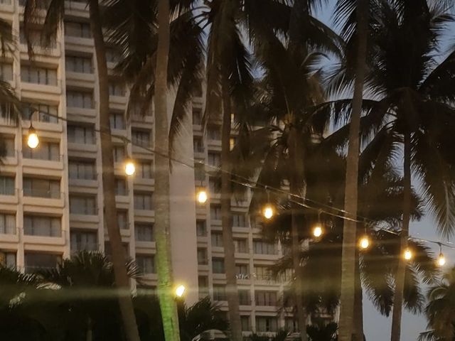 La boda de Eduardo  y María Guadalupe  en Ixtapa Zihuatanejo, Guerrero 1