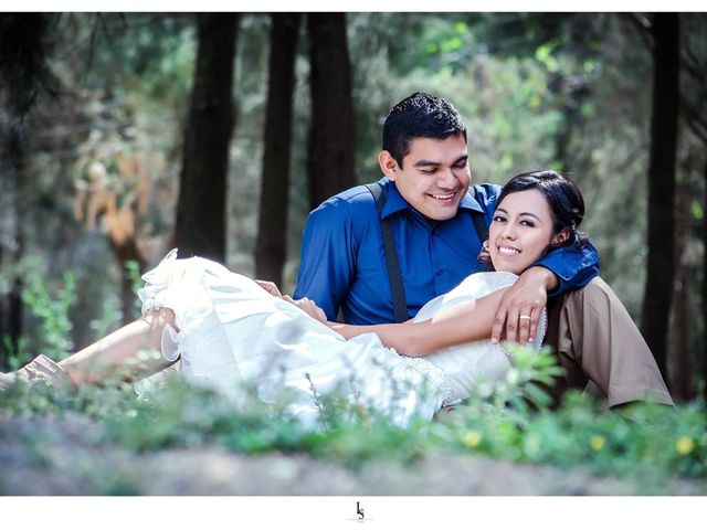 La boda de Néstor  y Noemí en Colima, Colima 1