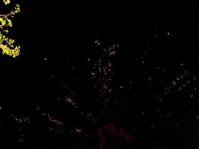 La boda de Juan Carlos  y Sandra Isaid  en Celaya, Guanajuato 3