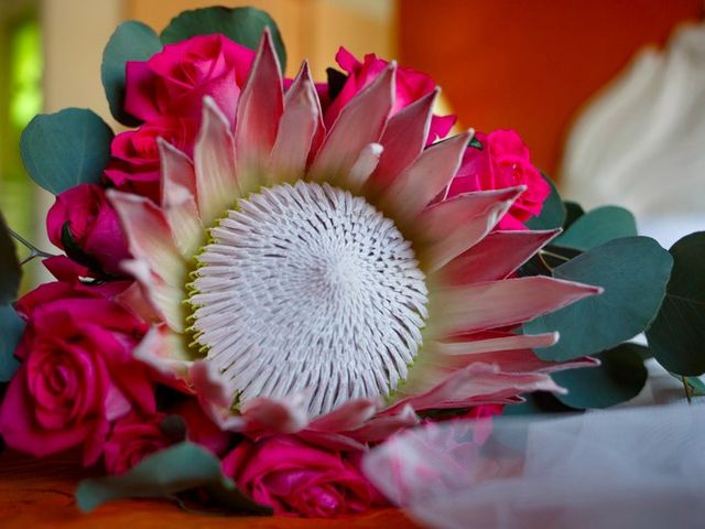 La boda de Pedro y Mariana en Puerto Vallarta, Jalisco 11