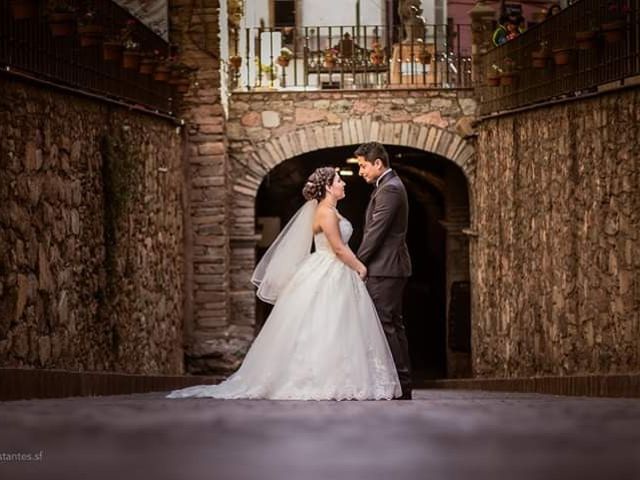 La boda de Alberto y Amayrani  en Guanajuato, Guanajuato 8