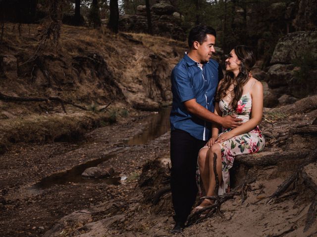 La boda de David y Yadira en Chihuahua, Chihuahua 11