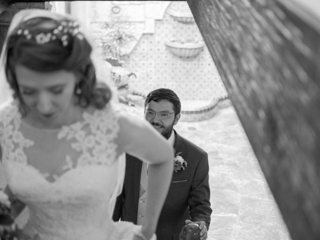 La boda de Sergio y Natasha en Coyoacán, Ciudad de México 14