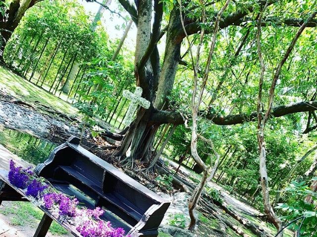 La boda de Fabriccio y Ginn en Xochitepec, Morelos 11