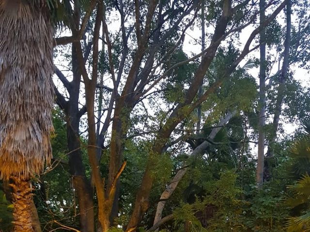 La boda de Fabriccio y Ginn en Xochitepec, Morelos 23