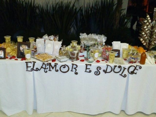 La boda de Ileana y Erving  en Guadalajara, Jalisco 1