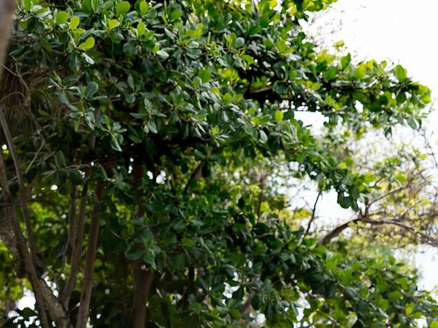 La boda de Seth y Claire en Playa del Carmen, Quintana Roo 29