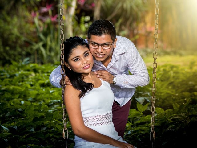 La boda de Alejandra   y Luis   en Mérida, Yucatán 8