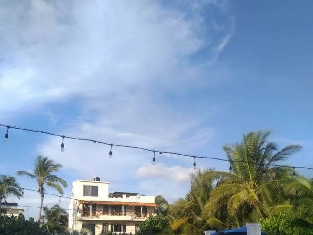 La boda de Eliseo y Ana en Acapulco, Guerrero 13