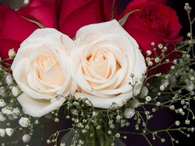 La boda de Abraham y Paulina   en Tepotzotlán, Estado México 4