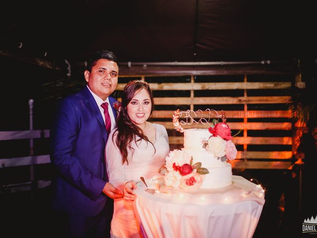 La boda de David y Fabiola en Tampico, Tamaulipas 252