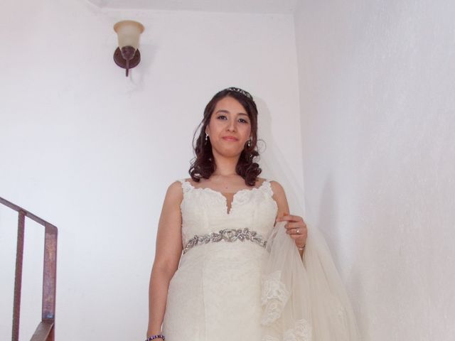 La boda de Luis René y Ana Carolina en Temixco, Morelos 3