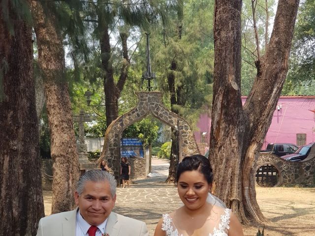 La boda de Luis  y Zayra en Cuernavaca, Morelos 16