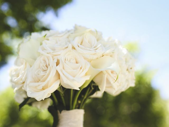 La boda de César y Cristy en Mazatlán, Sinaloa 34