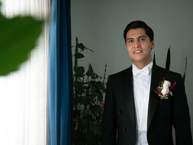 La boda de Alex y Les en Miguel Hidalgo, Ciudad de México 4