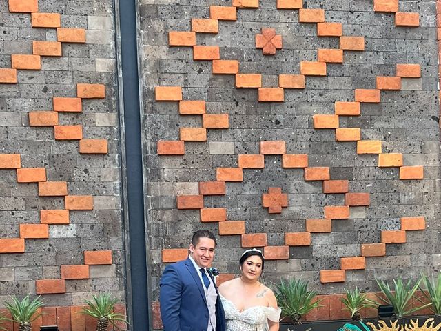 La boda de Alejandro  y Tania en Oaxaca, Oaxaca 19