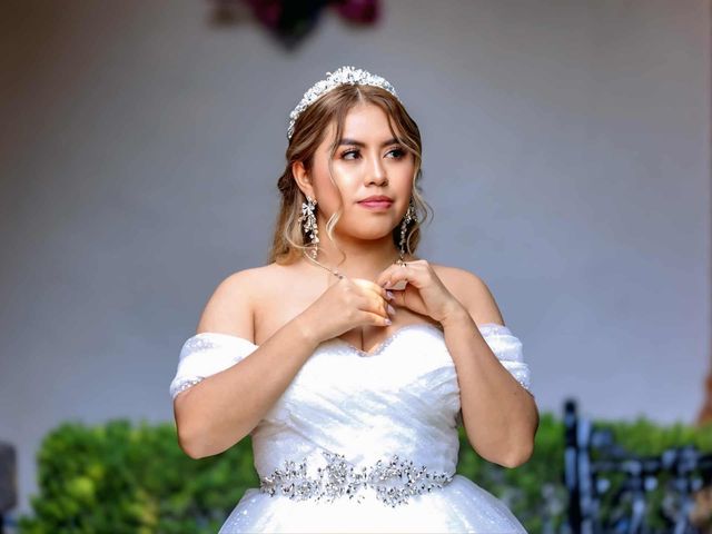 La boda de Antonio  y Ana  en Naucalpan, Estado México 110