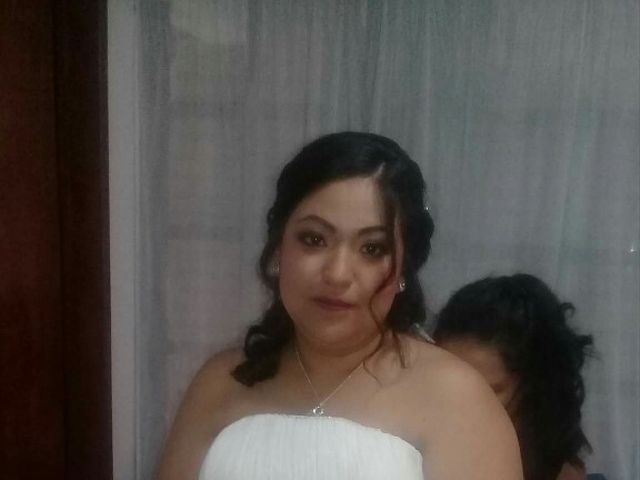 La boda de Fernando y Karen  en Tlalpan, Ciudad de México 4