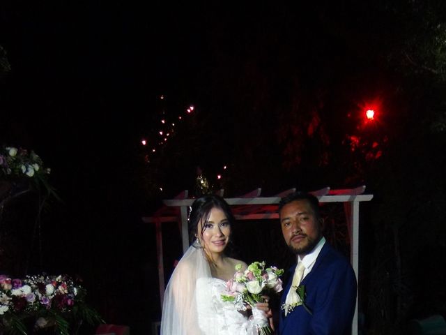 La boda de Barush  y Pilar  en Cuautitlán Izcalli, Estado México 6