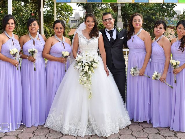 La boda de Luis Jesús y Ana Patricia en Xochimilco, Ciudad de México 2