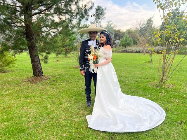La boda de Ikingarhi  y Paola en Morelia, Michoacán 1
