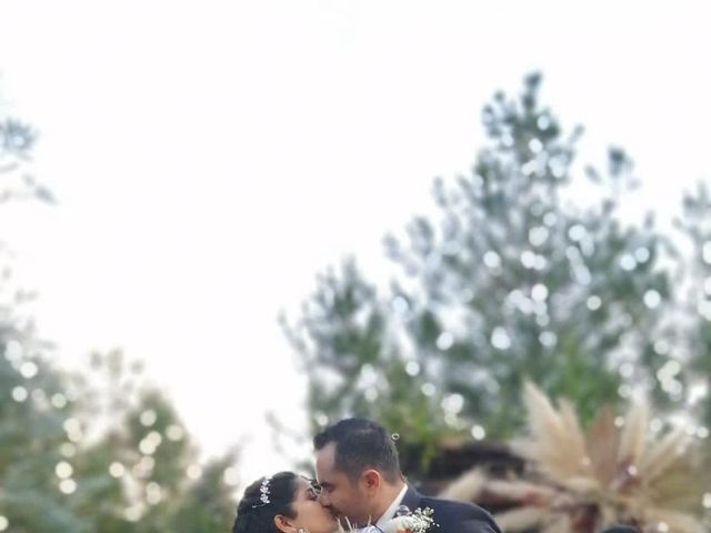 La boda de Ikingarhi  y Paola en Morelia, Michoacán 7