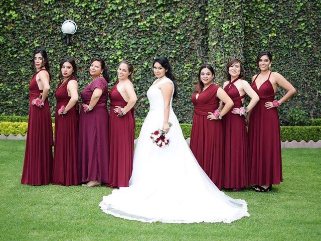 La boda de Ricardo y Nubia en Xochimilco, Ciudad de México 6