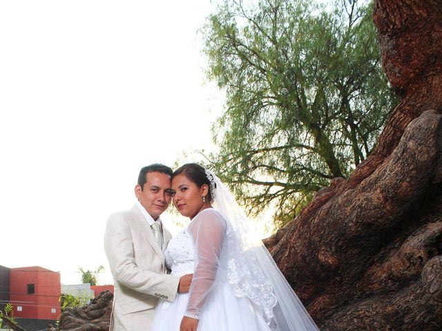 La boda de Alejandro y Maryelle en Celaya, Guanajuato 5