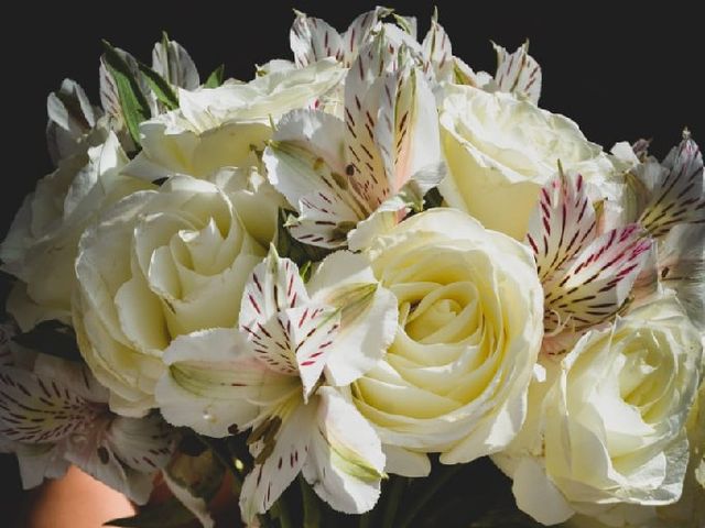 La boda de Arturo  y Yarime  en Zacatecas, Zacatecas 5