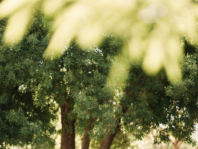 La boda de Daniel y Aylin en Chihuahua, Chihuahua 6