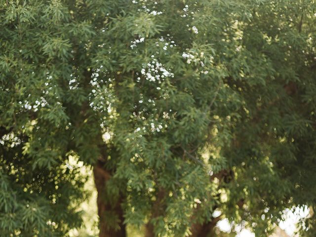 La boda de Daniel y Aylin en Chihuahua, Chihuahua 10