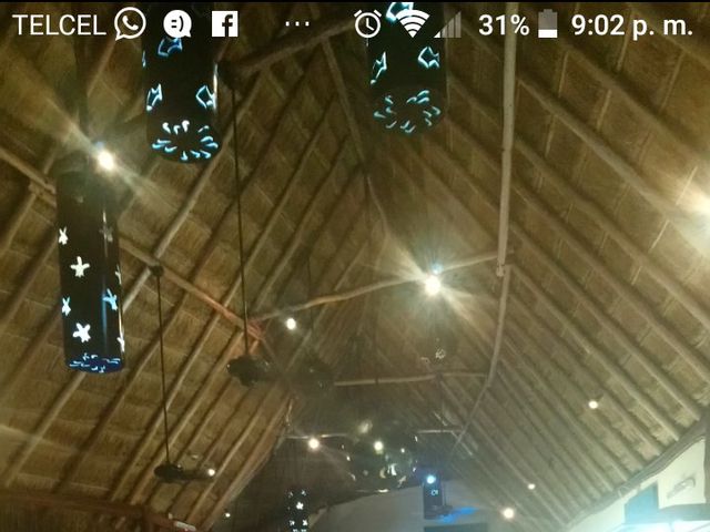 La boda de Francisco  y Cecilia  en Cancún, Quintana Roo 7