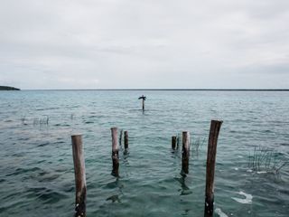 La boda de Male y Jorge 3